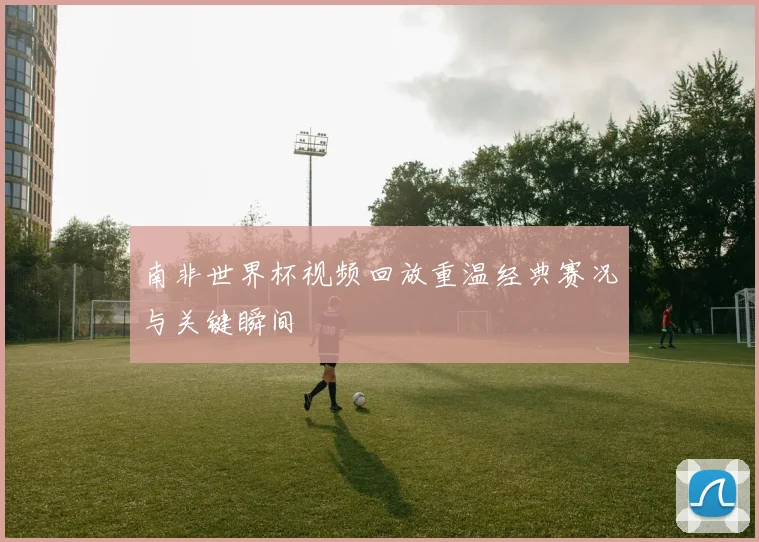 南非世界杯视频回放重温经典赛况与关键瞬间