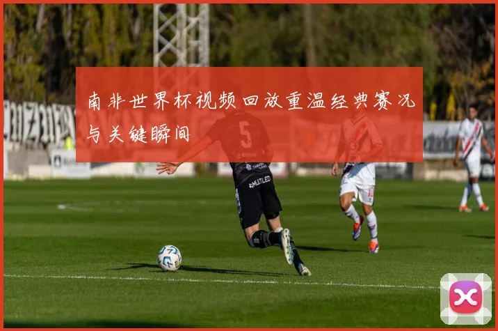 南非世界杯视频回放重温经典赛况与关键瞬间