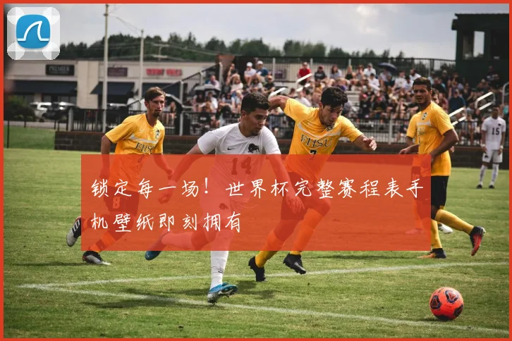 锁定每一场！世界杯完整赛程表手机壁纸即刻拥有